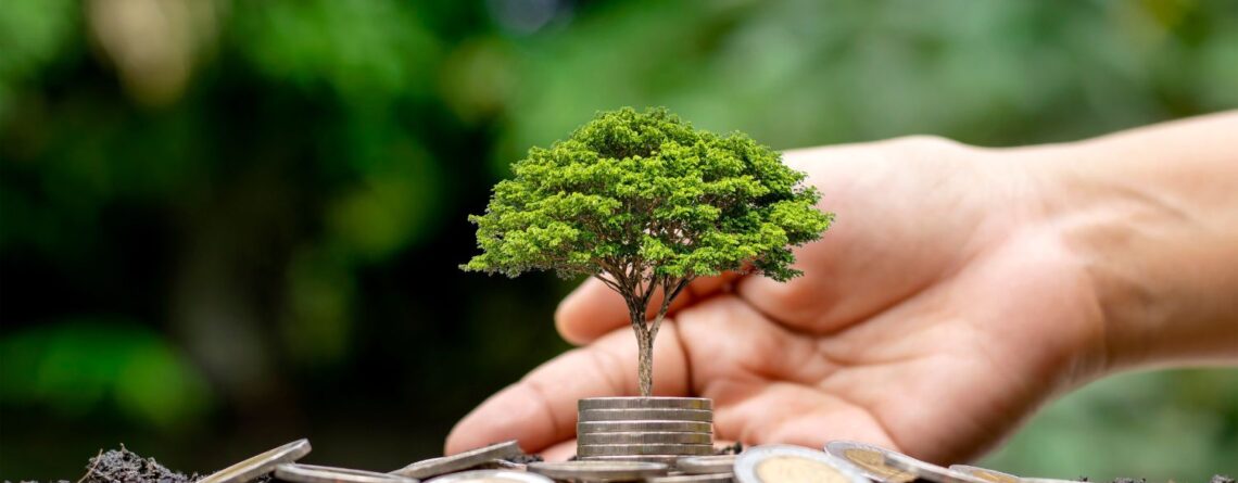 Sustainable Investing